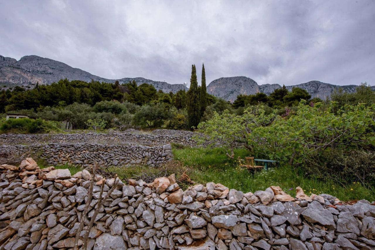 Pension Kathi Brist Εξωτερικό φωτογραφία